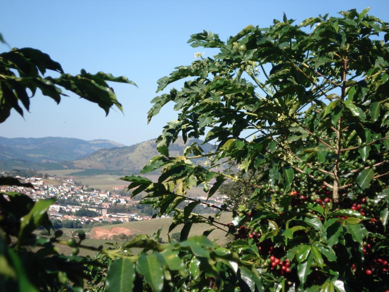 Pousada Lambari Montanha Hotel Εξωτερικό φωτογραφία